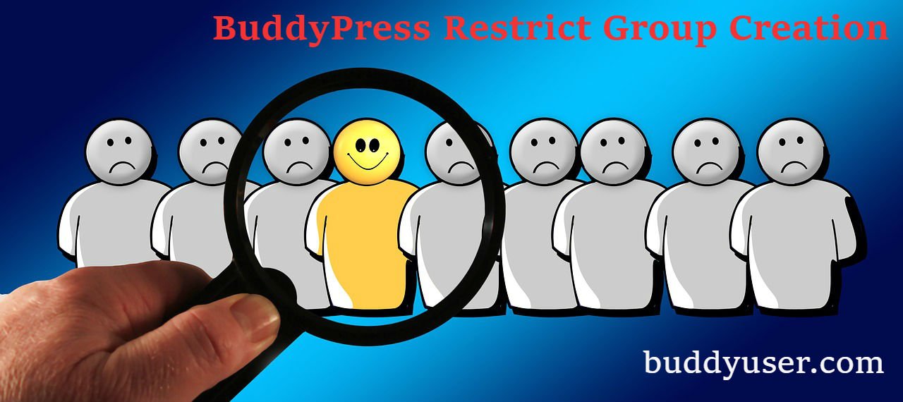 An image illustrating an article about Plugin – BuddyPress Restrict Group Creation on thealicesyndrome.com